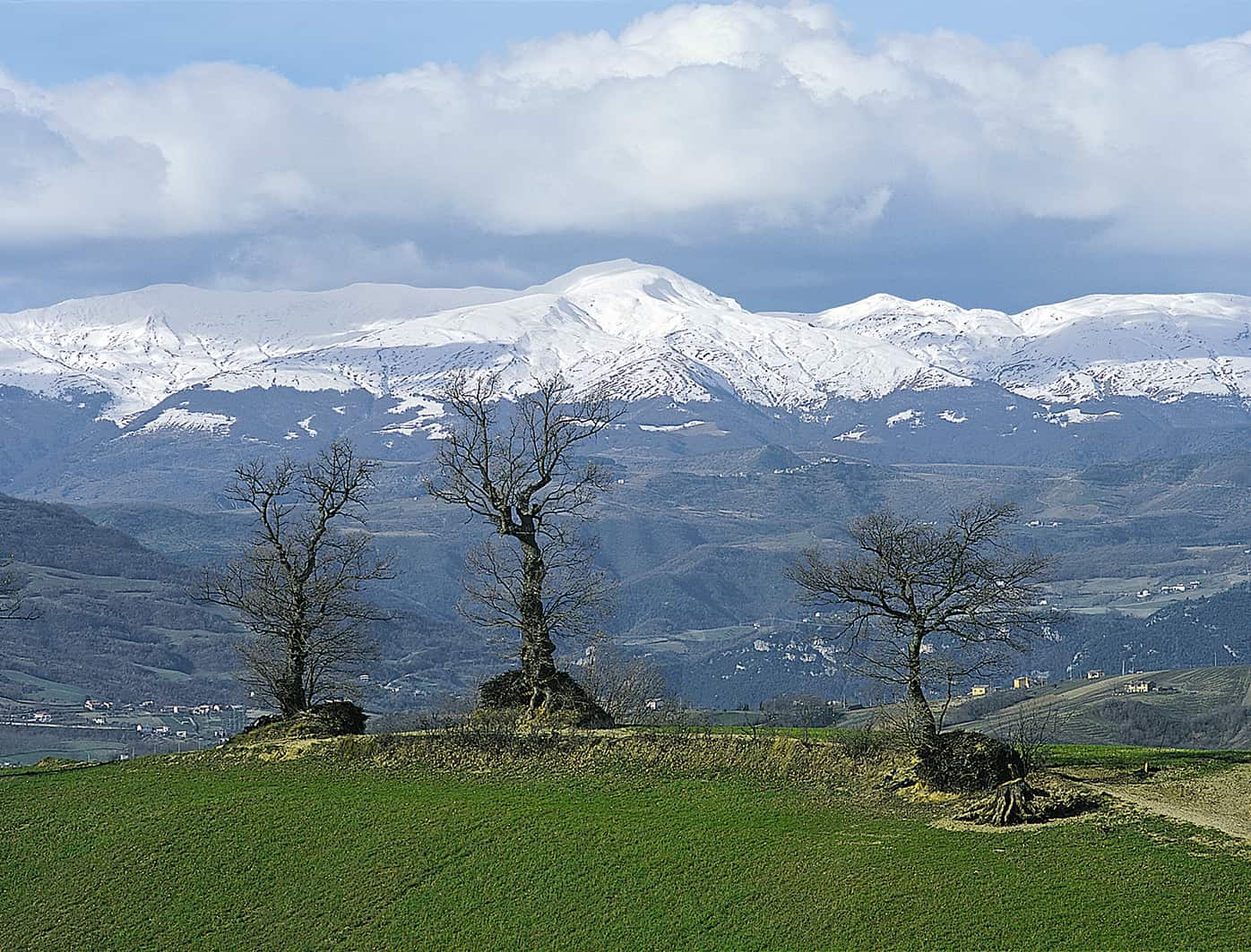 Gennaio Image