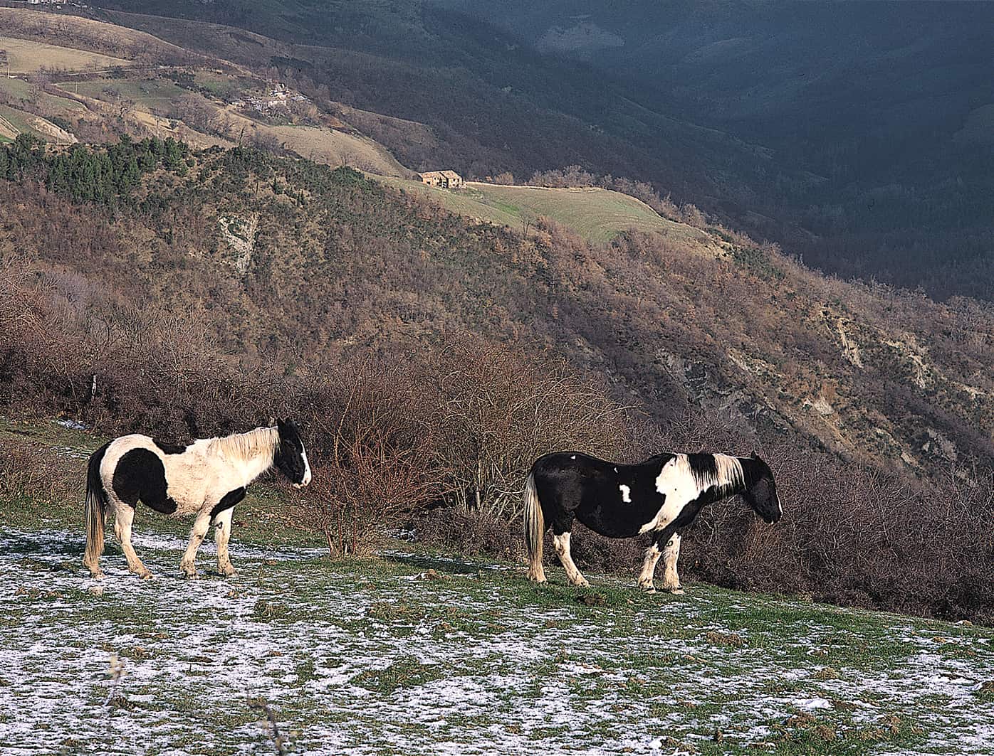 Febbraio Image