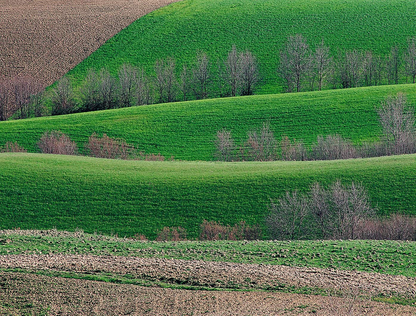 Maggio Image