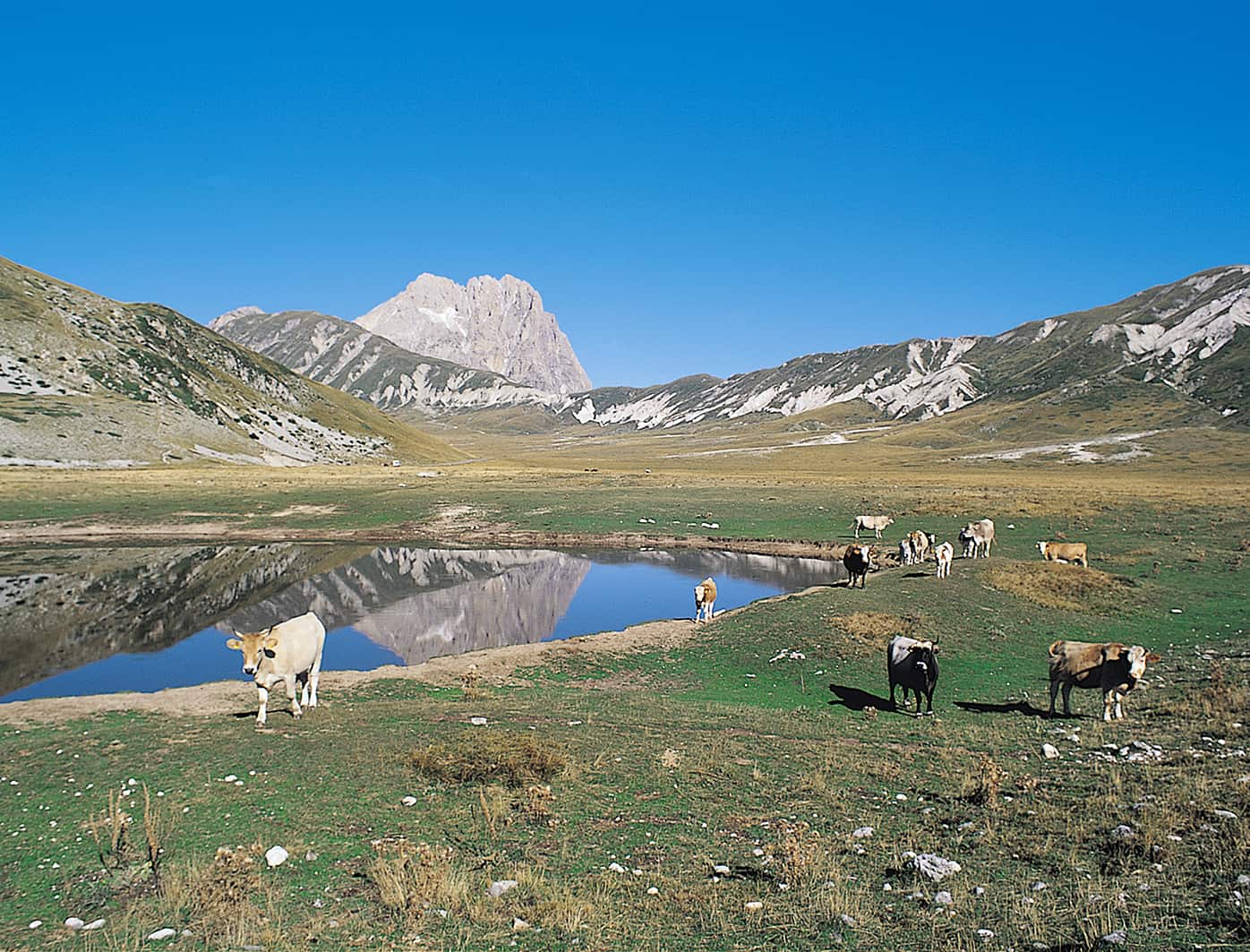 Settembre Image