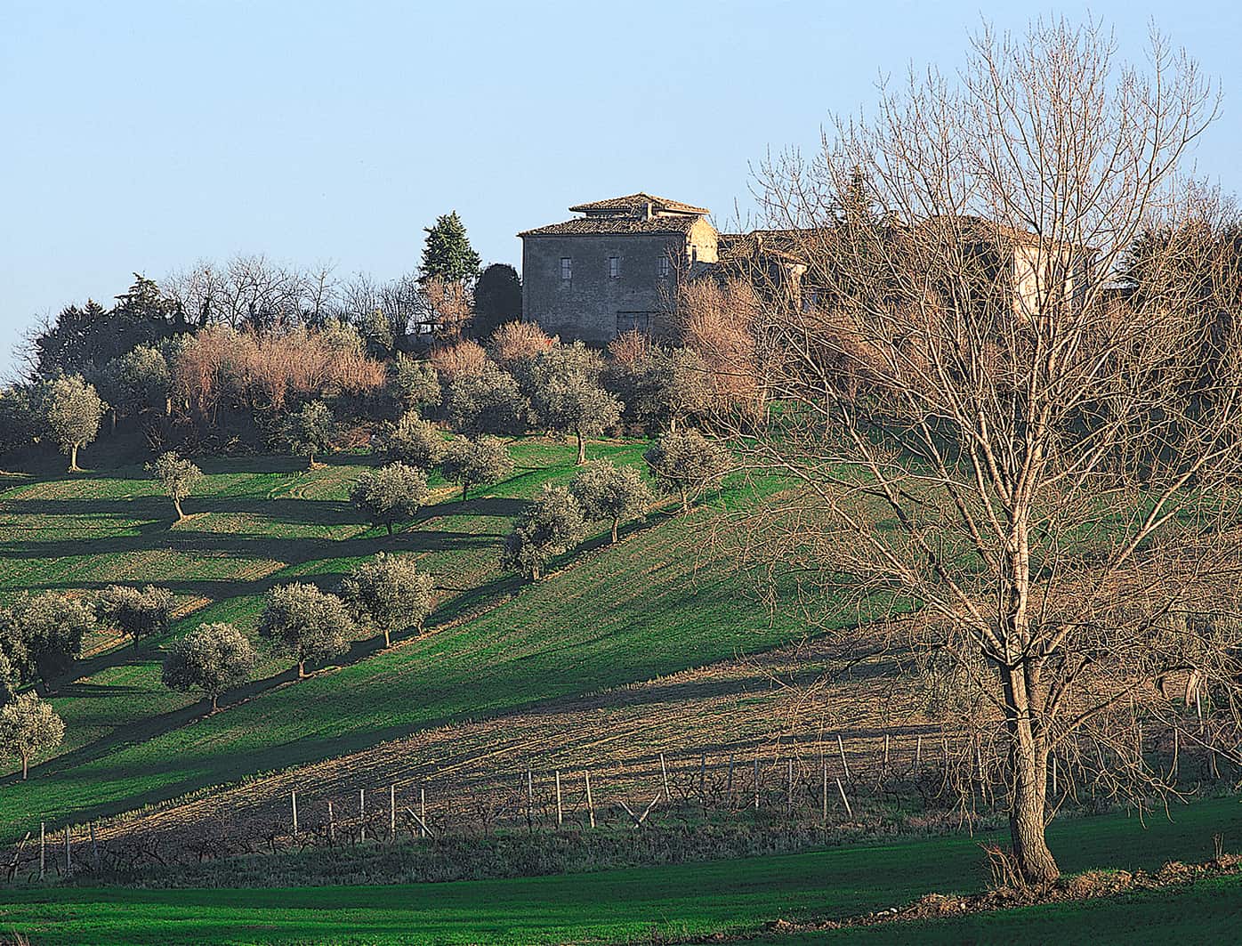 Ottobre Image