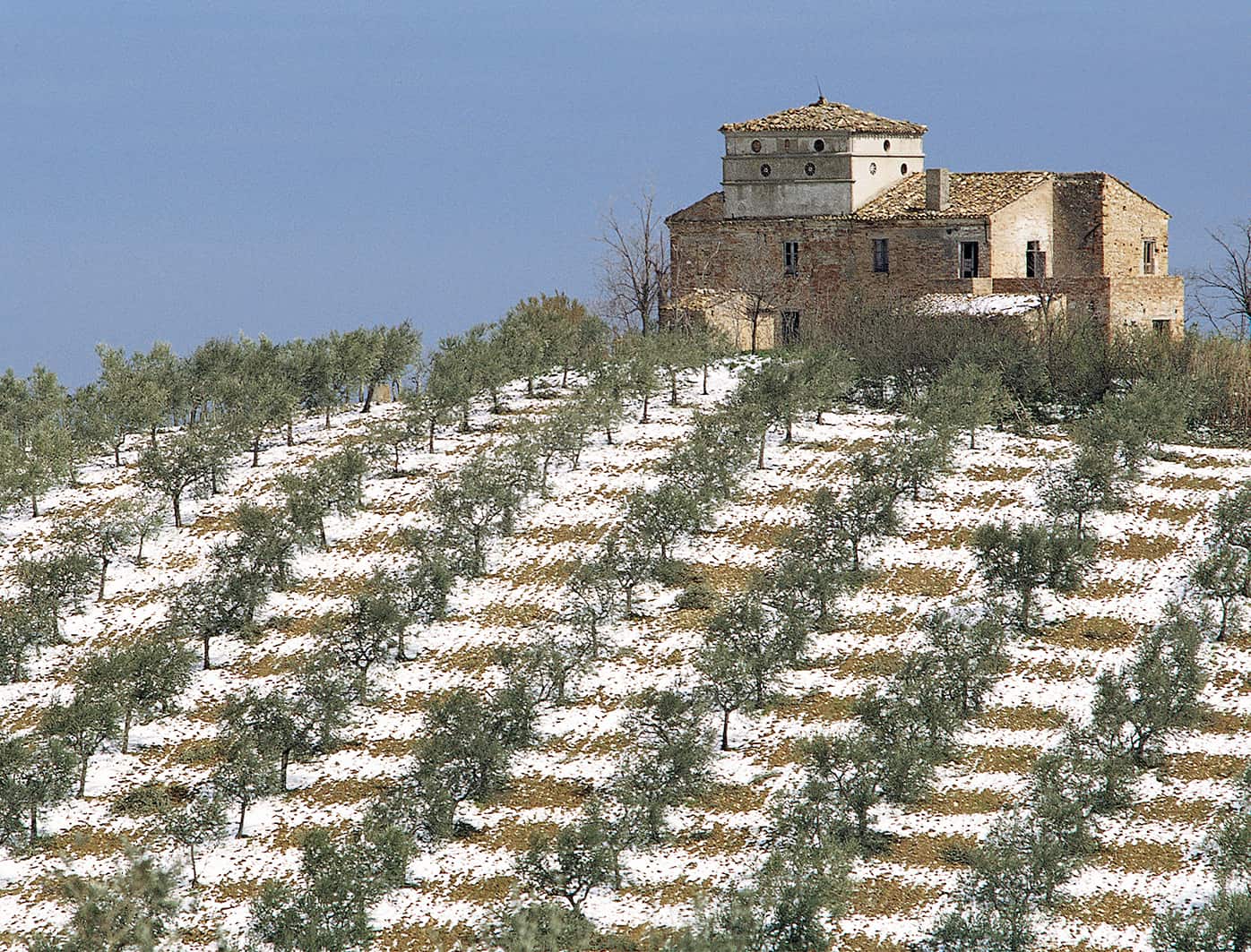 Gennaio Image