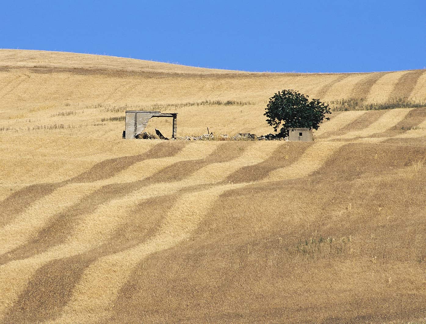 Luglio Image