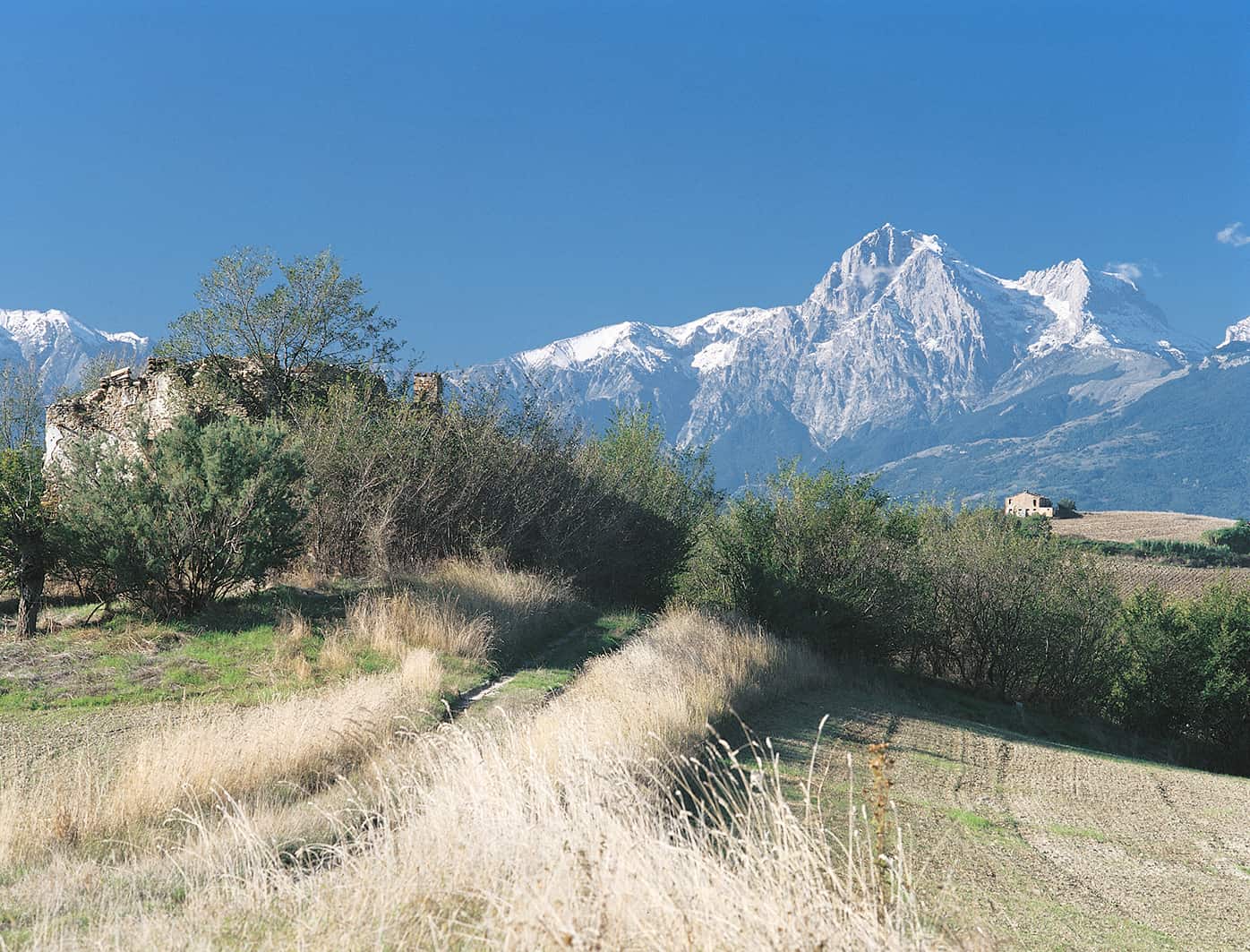 Ottobre Image