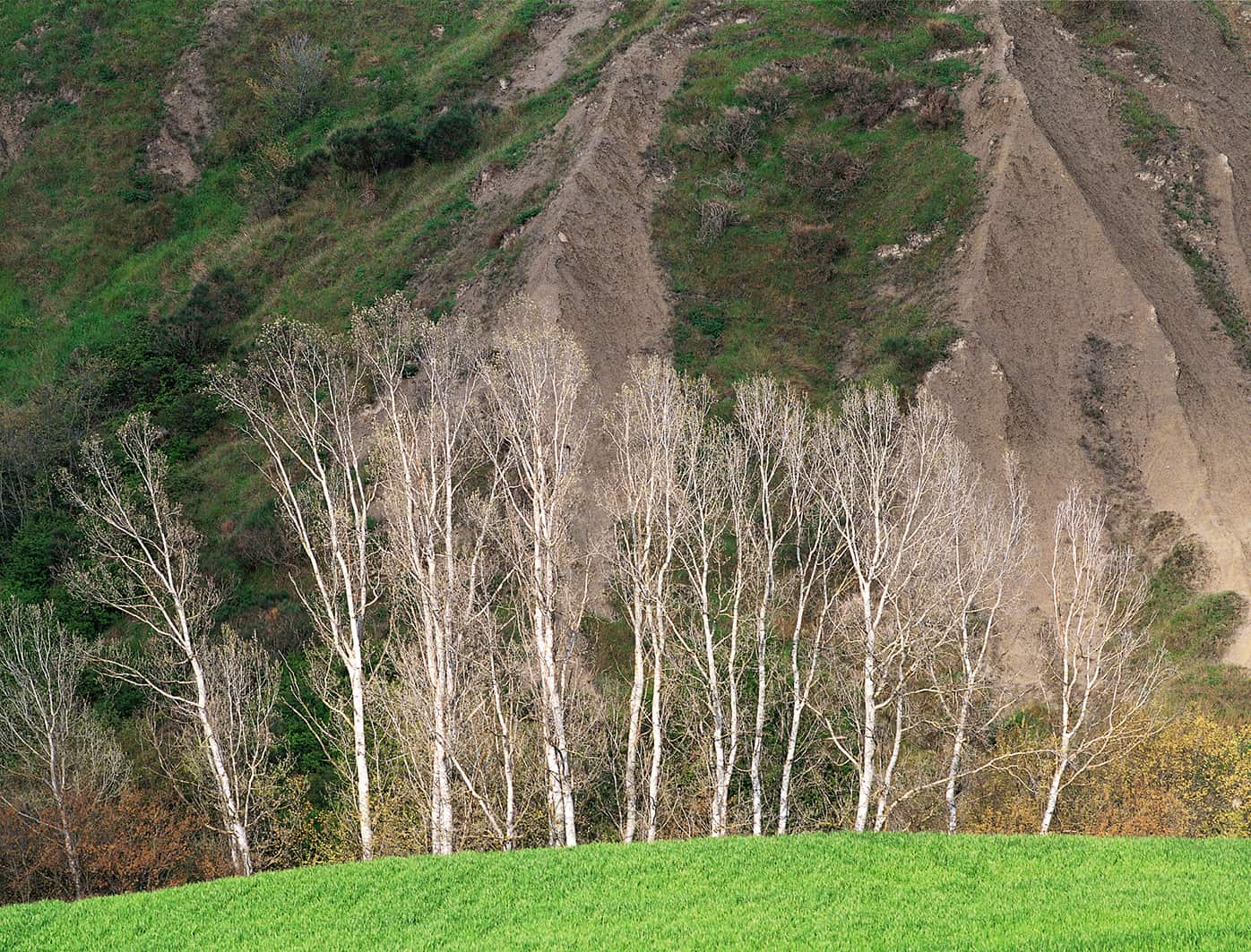 Novembre Image