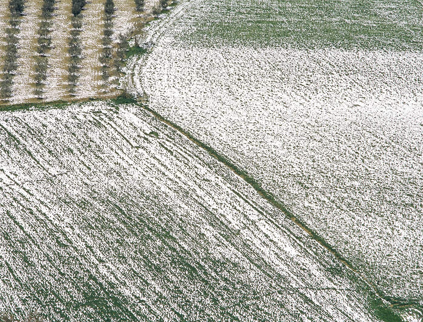 Gennaio Image
