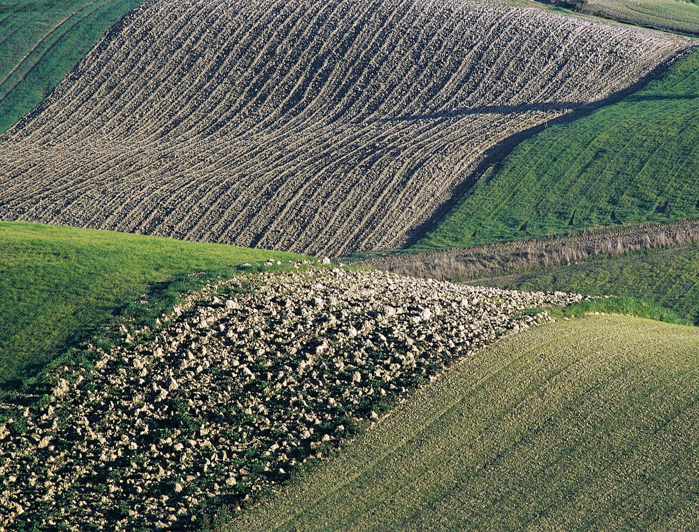 Febbraio Image