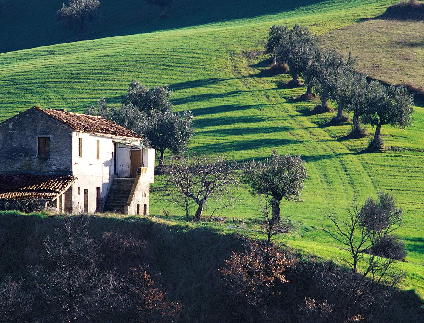 Aprile Image