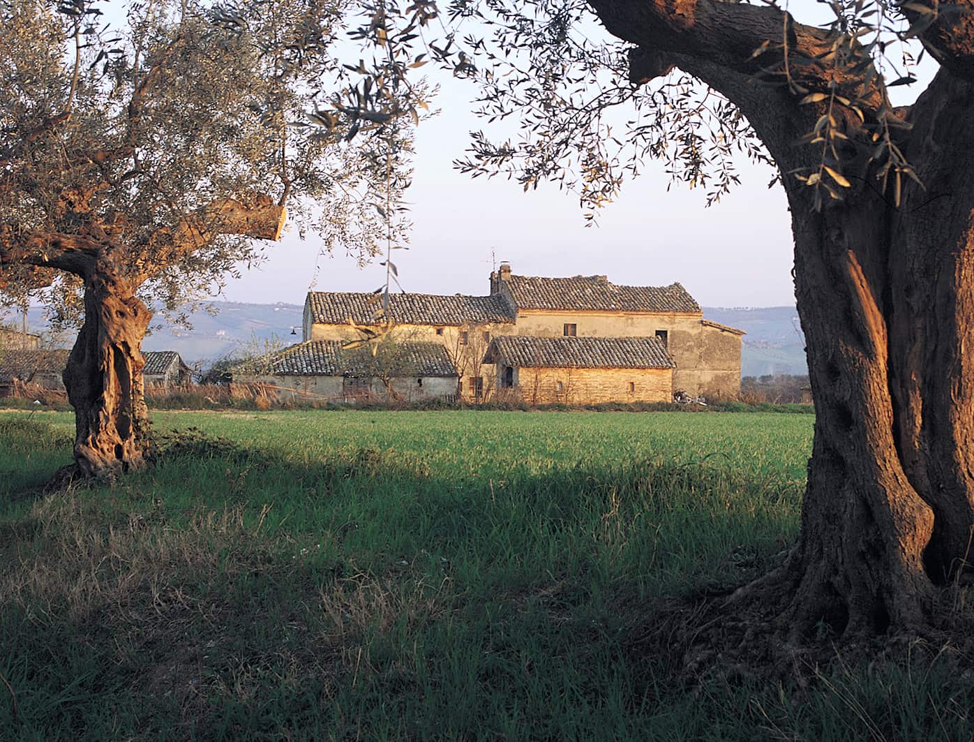 Settembre Image