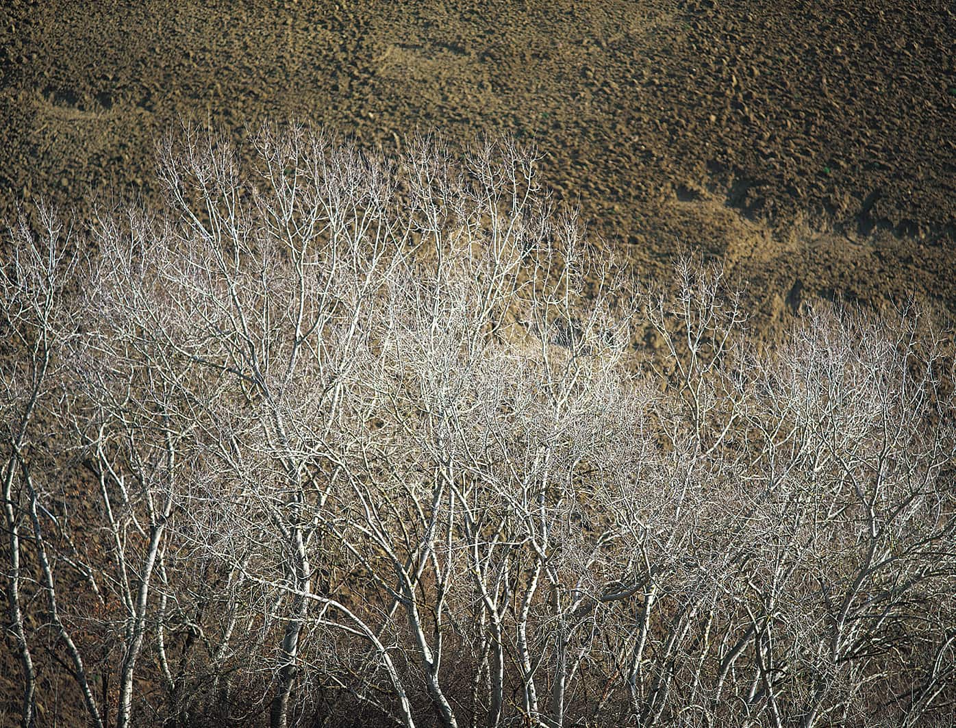 Novembre Image
