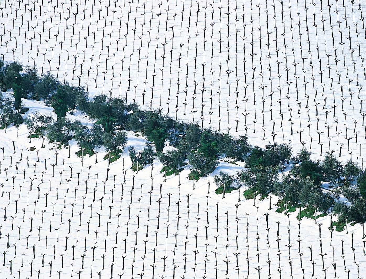 Dicembre Image